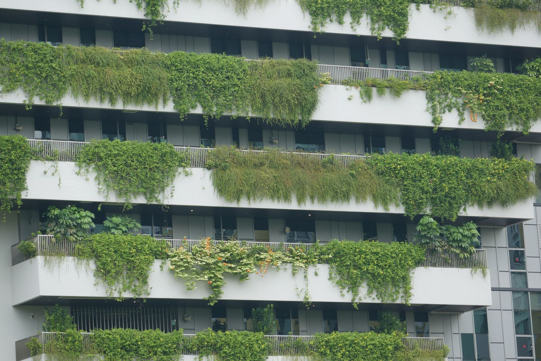 Modern white building façade with planted balconies full of greenery on every floor
